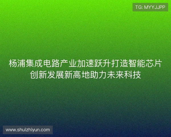 杨浦集成电路产业加速跃升打造智能芯片创新发展新高地助力未来科技